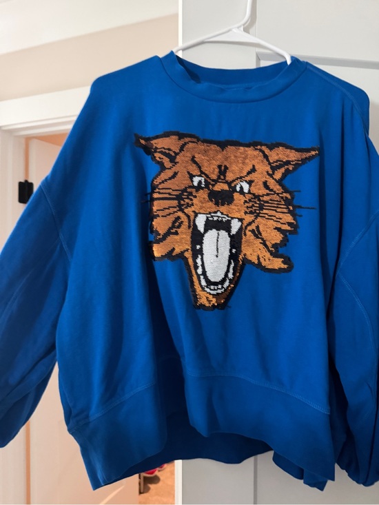 Stewart Simmons Sweaters - Bright Blue Crewneck Sweater with Orange Cat Graphic